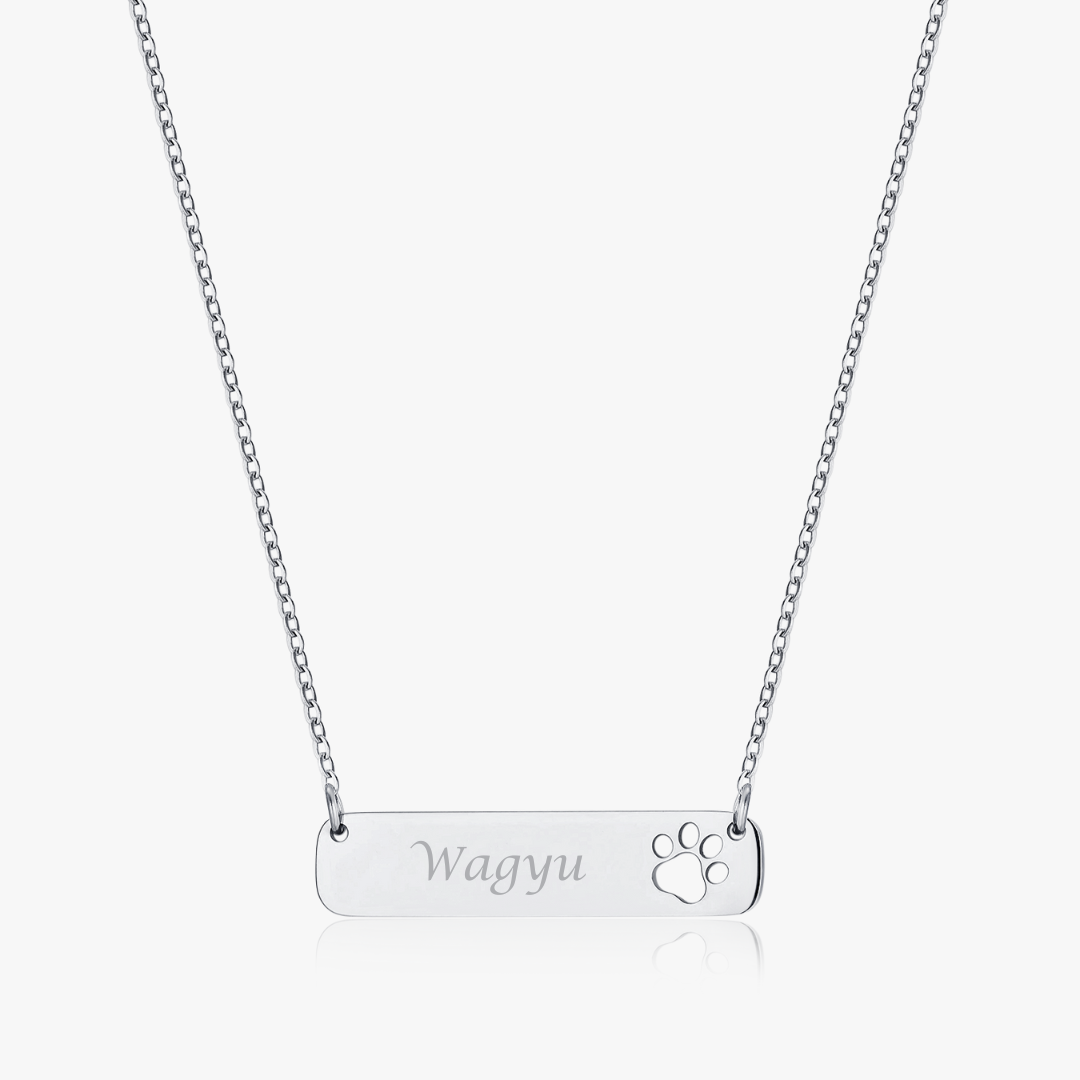 Paw Horizontal Bar Necklace (Pawsitive Change Collection)