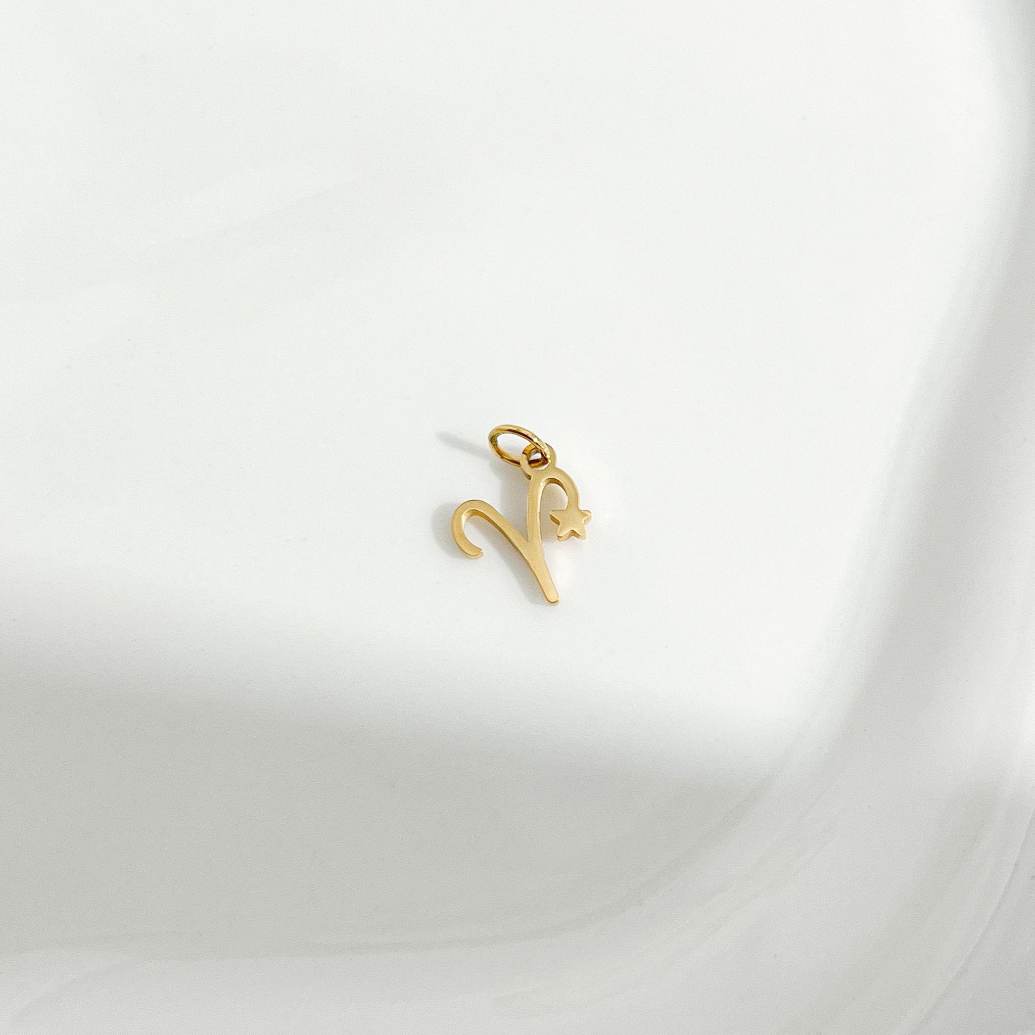 Dainty Zodiac Gold Necklace - Flaire & Co.