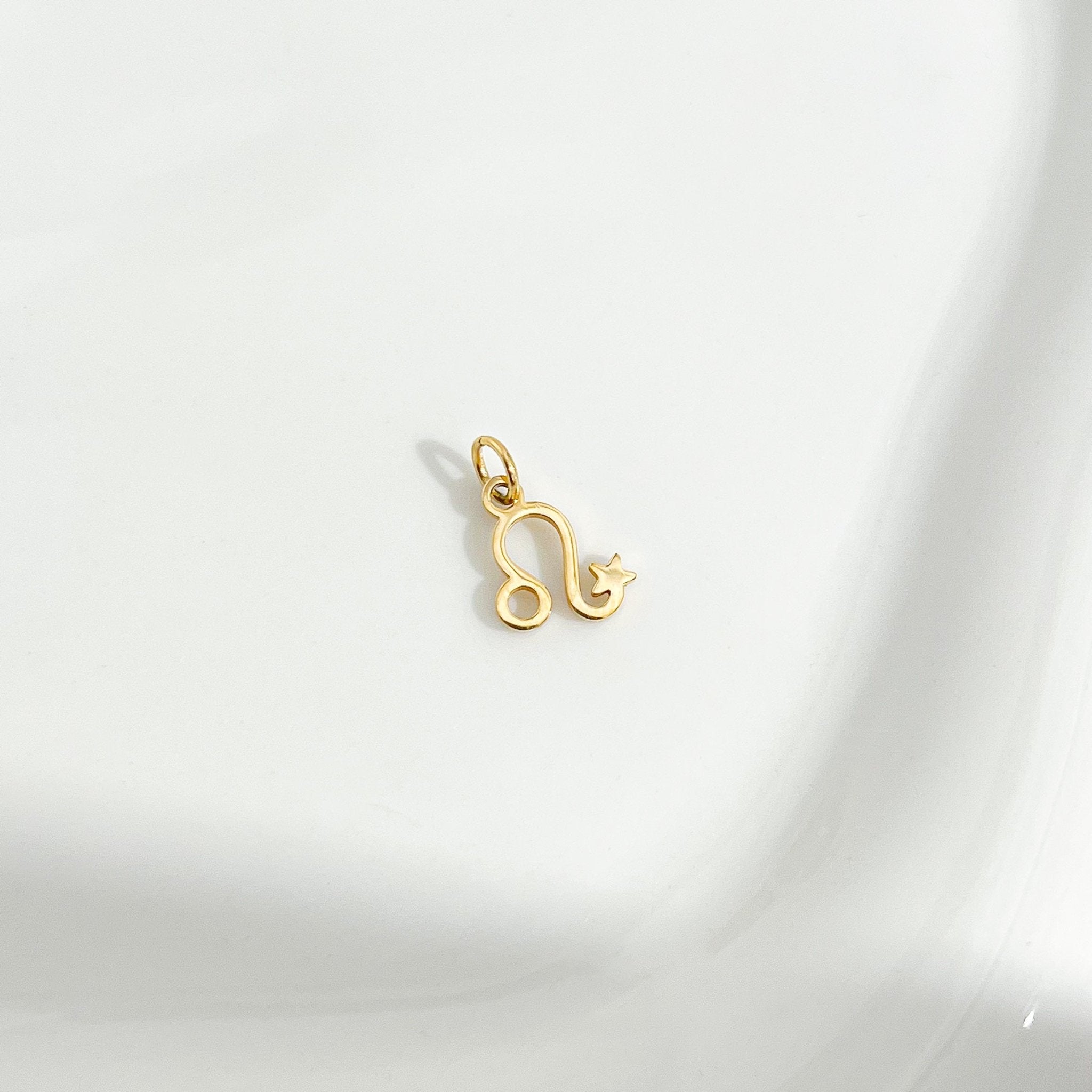 Dainty Zodiac Gold Necklace - Flaire & Co.