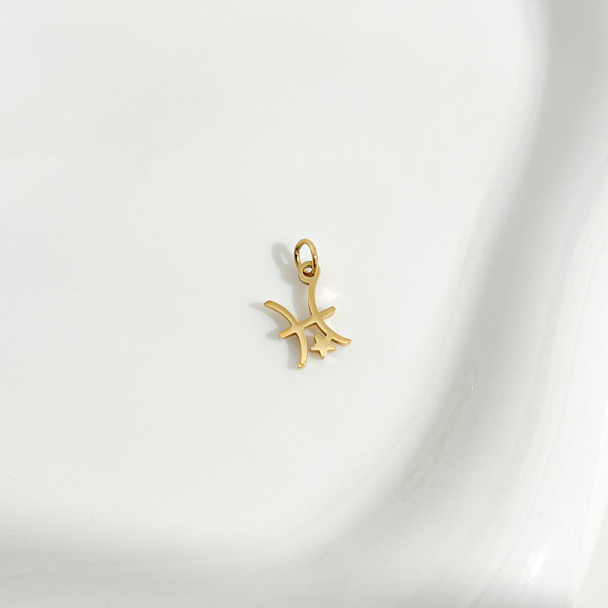Dainty Zodiac Gold Necklace - Flaire & Co.