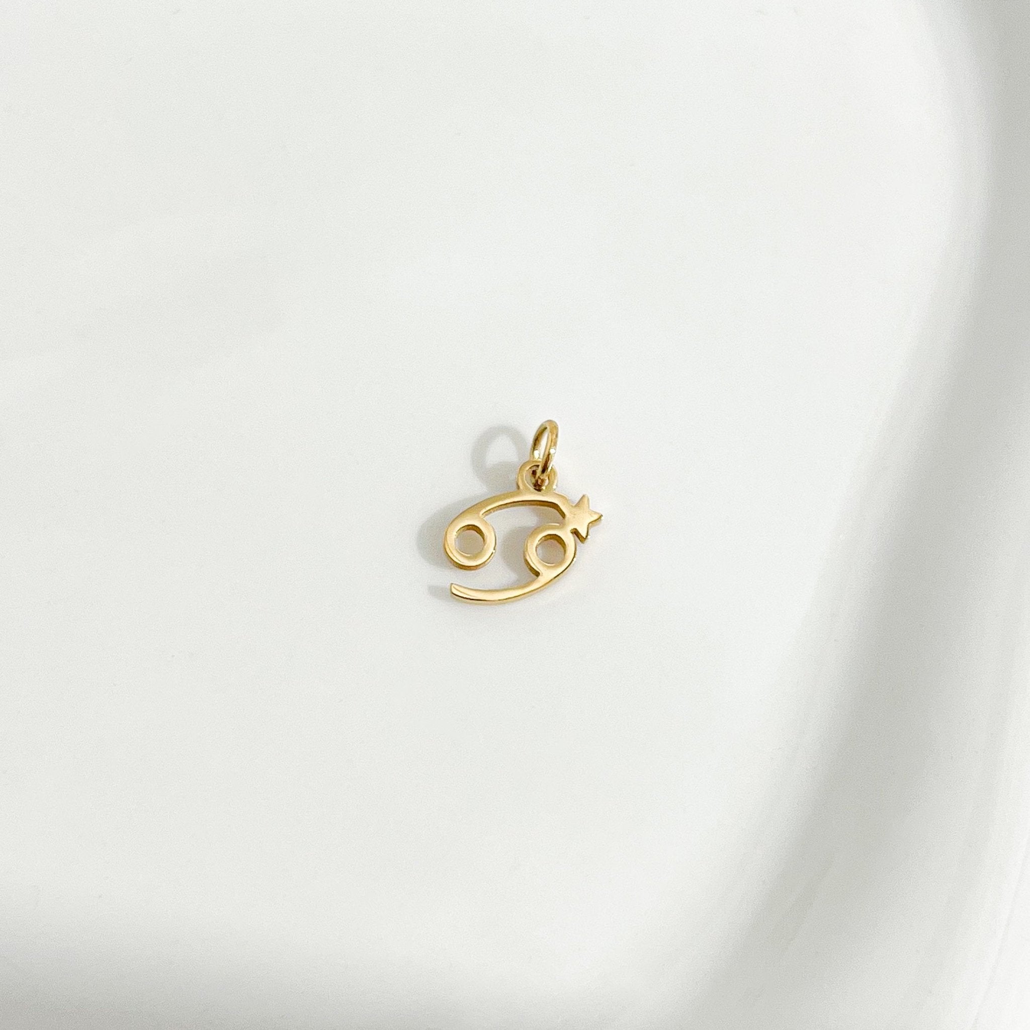 Dainty Zodiac Gold Necklace - Flaire & Co.