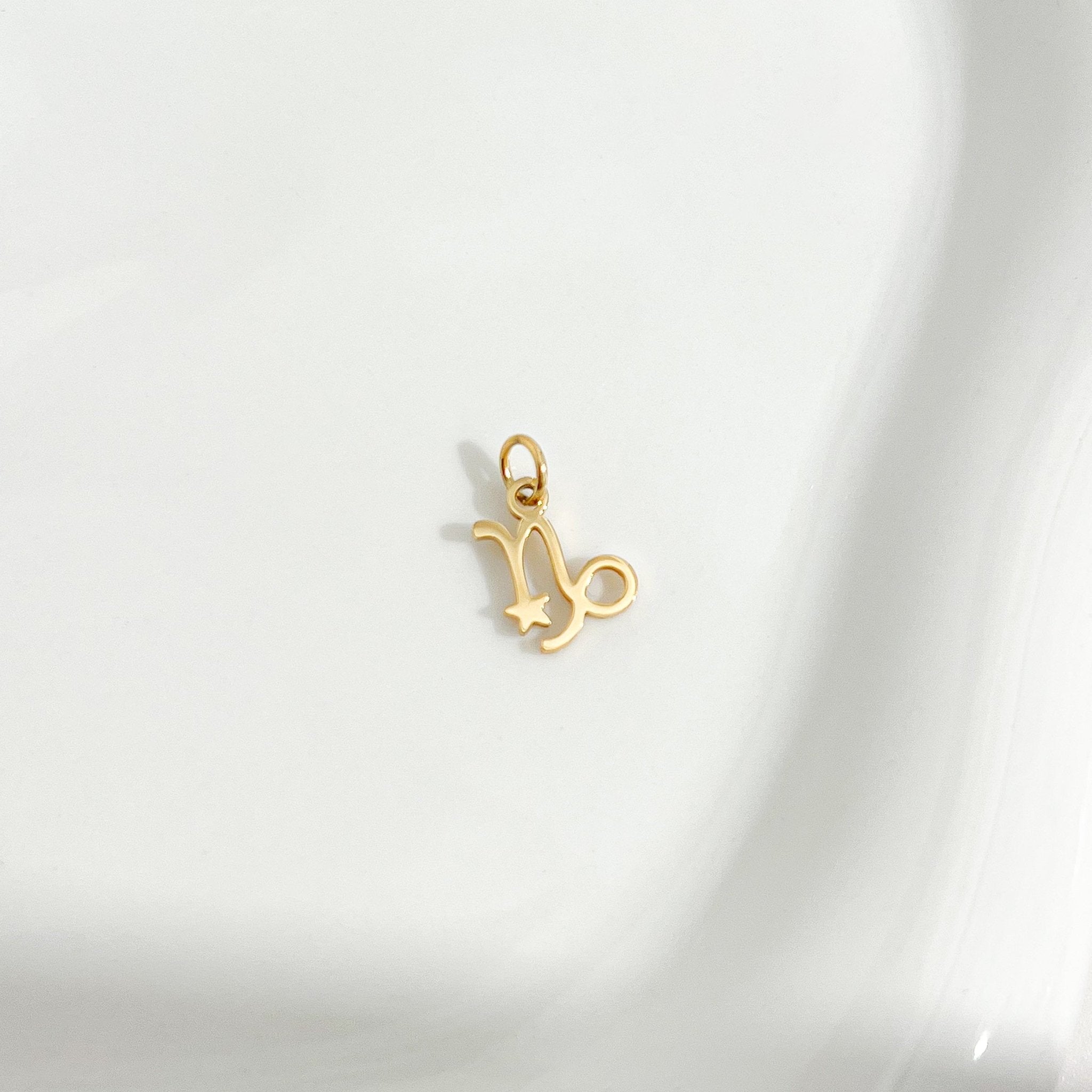 Dainty Zodiac Gold Necklace - Flaire & Co.