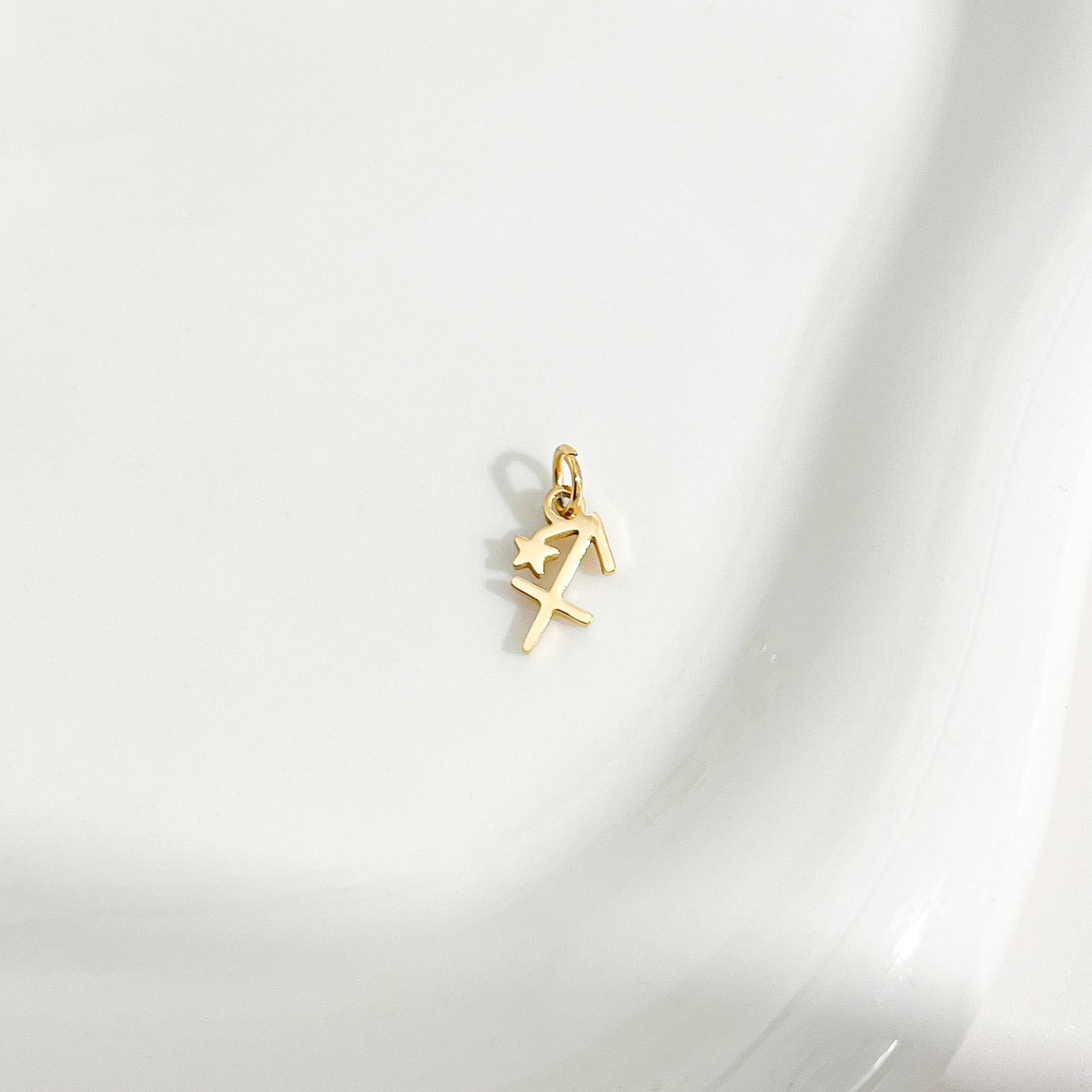 Dainty Zodiac Gold Necklace - Flaire & Co.
