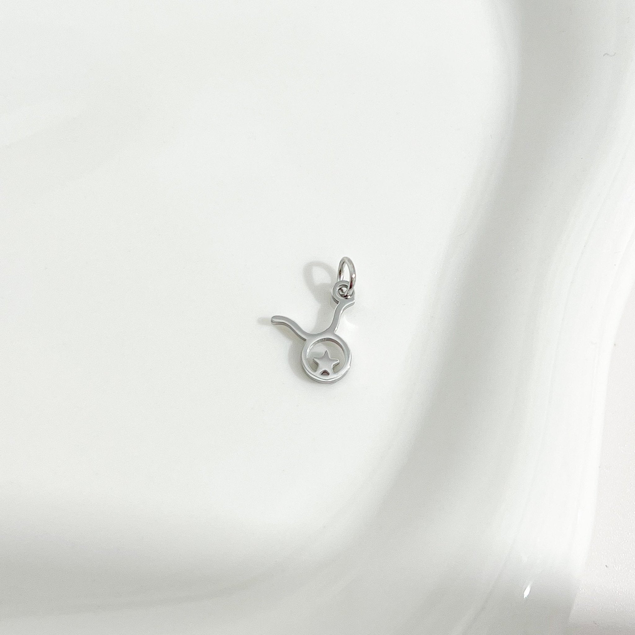 Dainty Zodiac Silver Necklace - Flaire & Co.