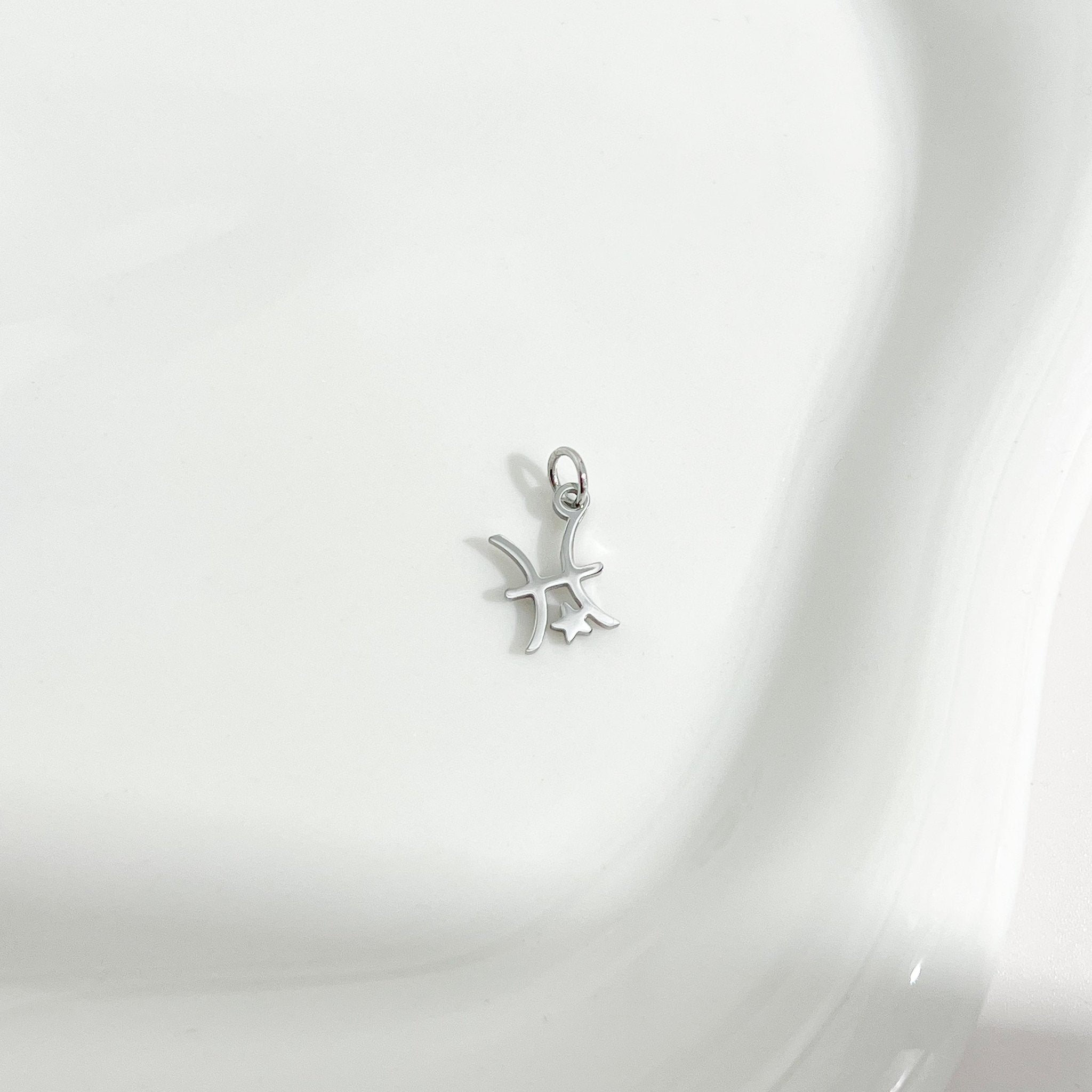 Dainty Zodiac Silver Necklace - Flaire & Co.
