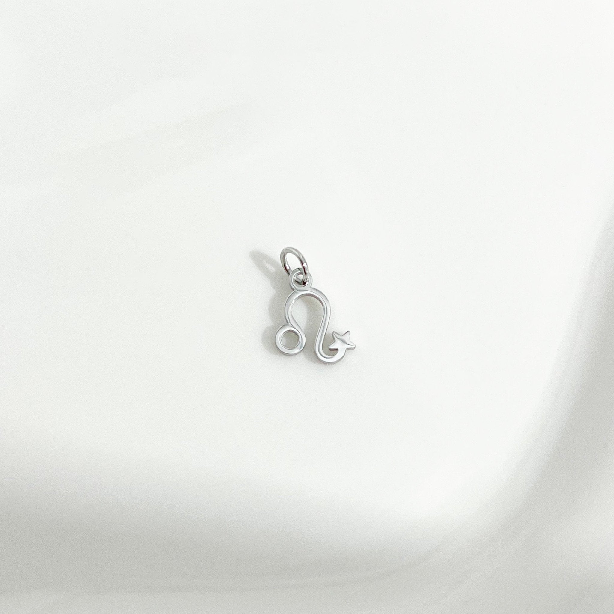 Dainty Zodiac Silver Necklace - Flaire & Co.