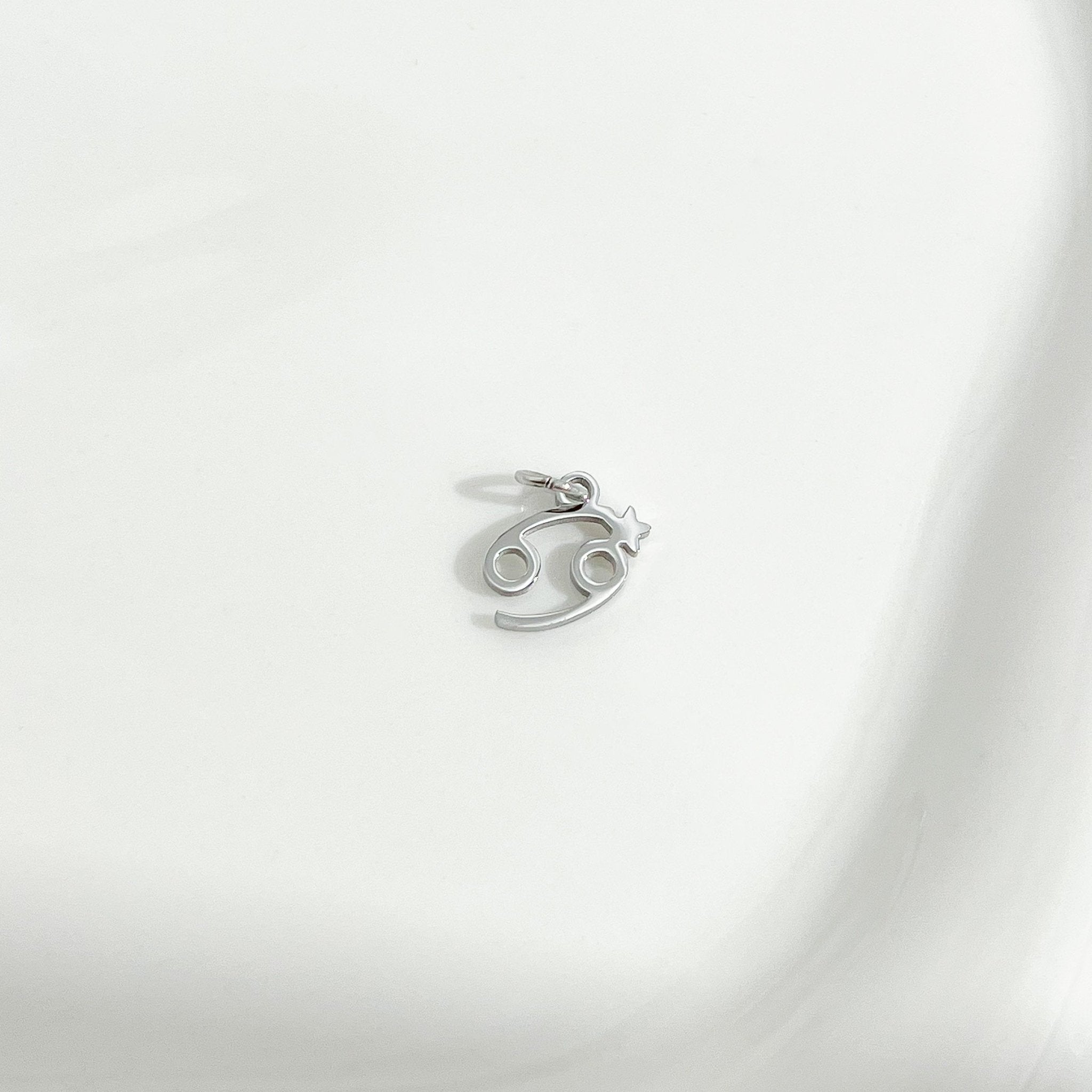 Dainty Zodiac Silver Necklace - Flaire & Co.