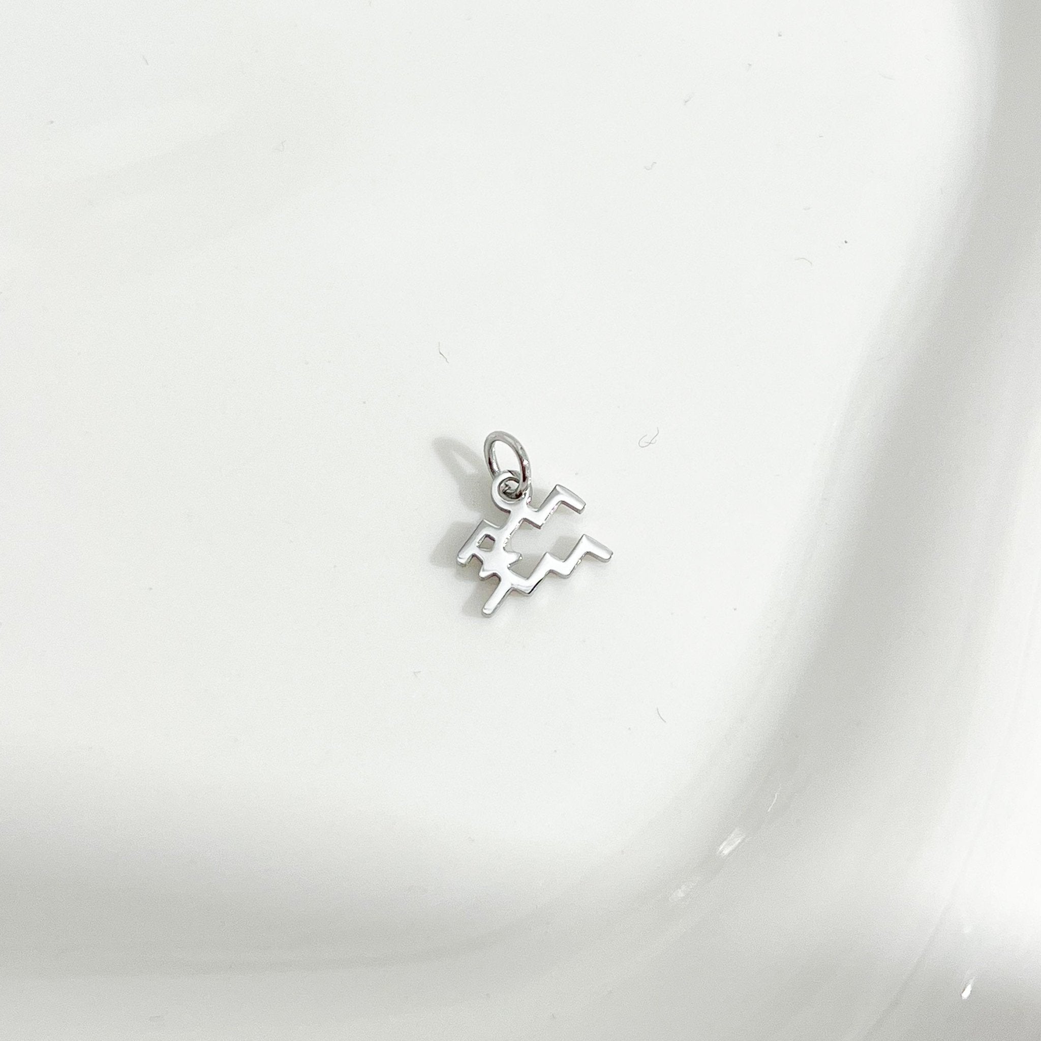 Dainty Zodiac Silver Necklace - Flaire & Co.