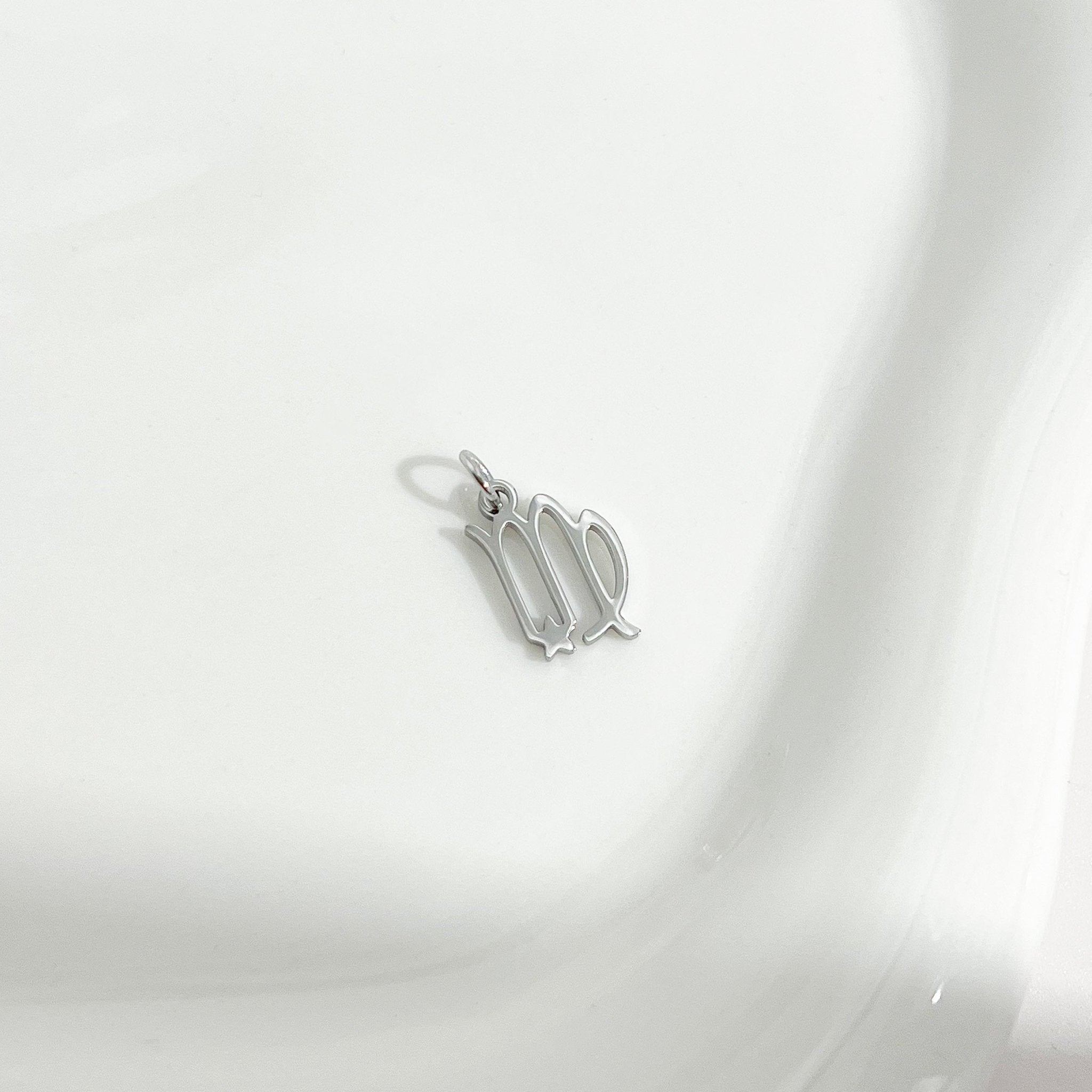 Dainty Zodiac Silver Necklace - Flaire & Co.