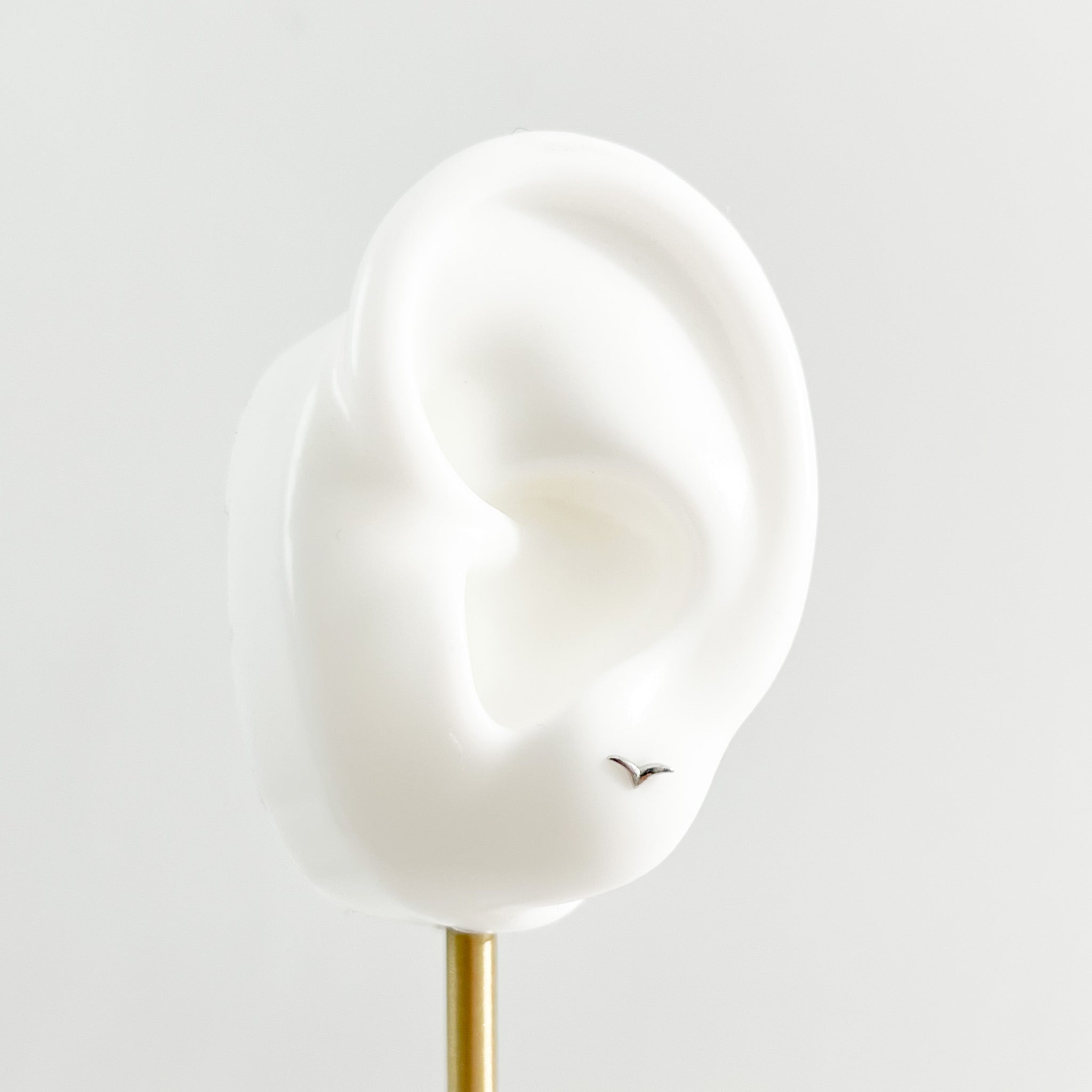 Micro Seagull Studs in Silver - Flaire & Co.