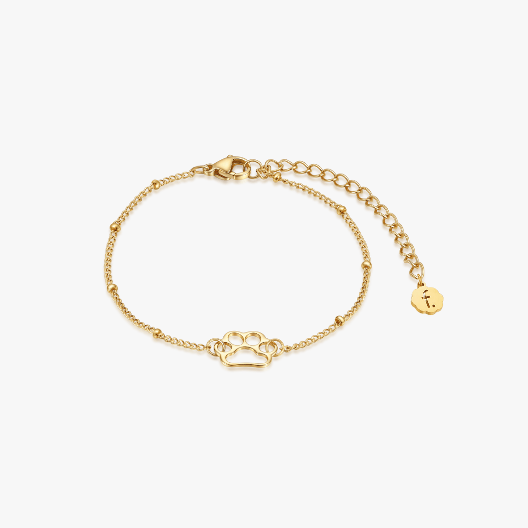 Paw Bracelet (Pawsitive Change Collection) - Flaire & Co.
