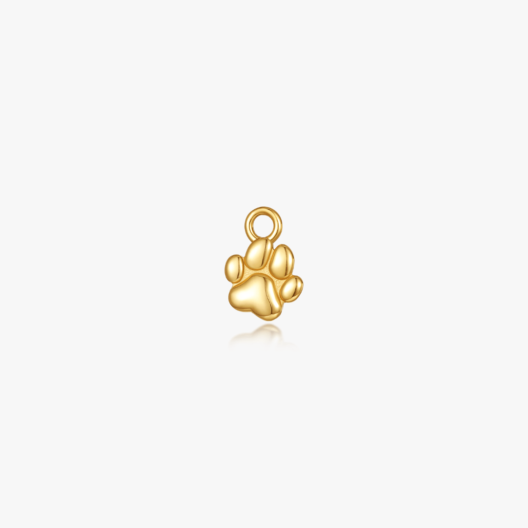 Paw Hoop Charm (Single) (Pawsitive Change Collection) - Flaire & Co.