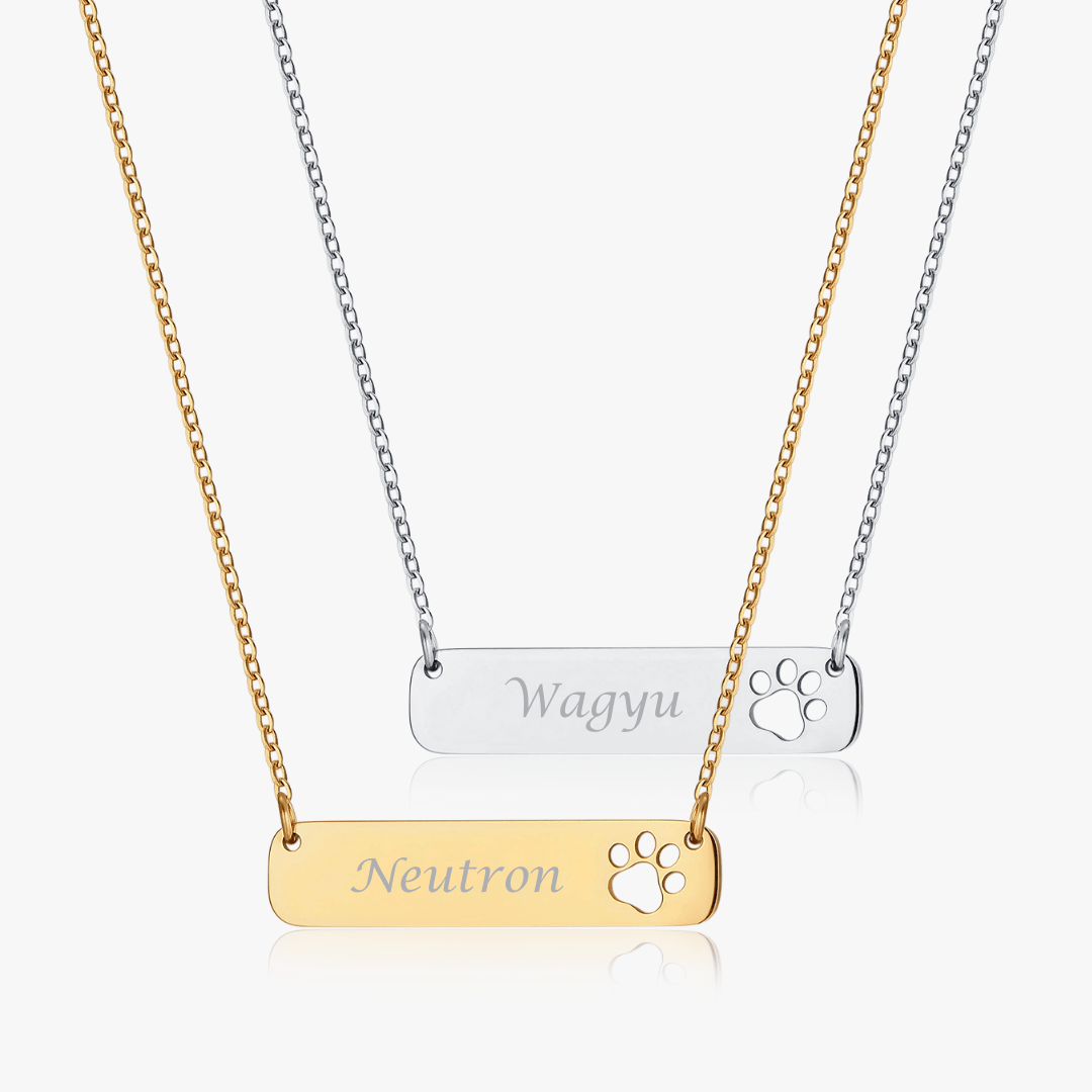 Paw Horizontal Bar Necklace (Pawsitive Change Collection) - Flaire & Co.