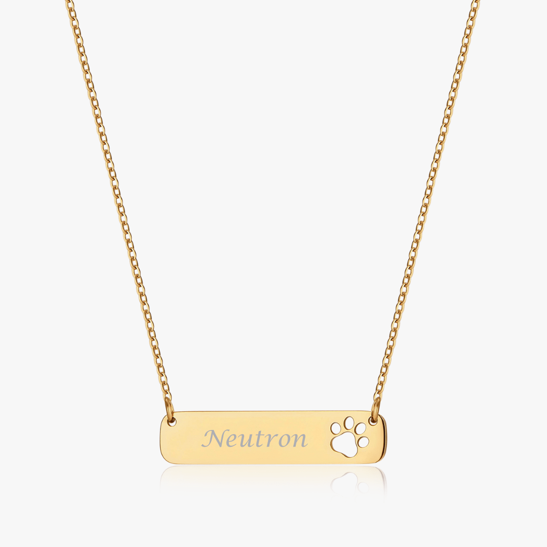 Paw Horizontal Bar Necklace (Pawsitive Change Collection) - Flaire & Co.