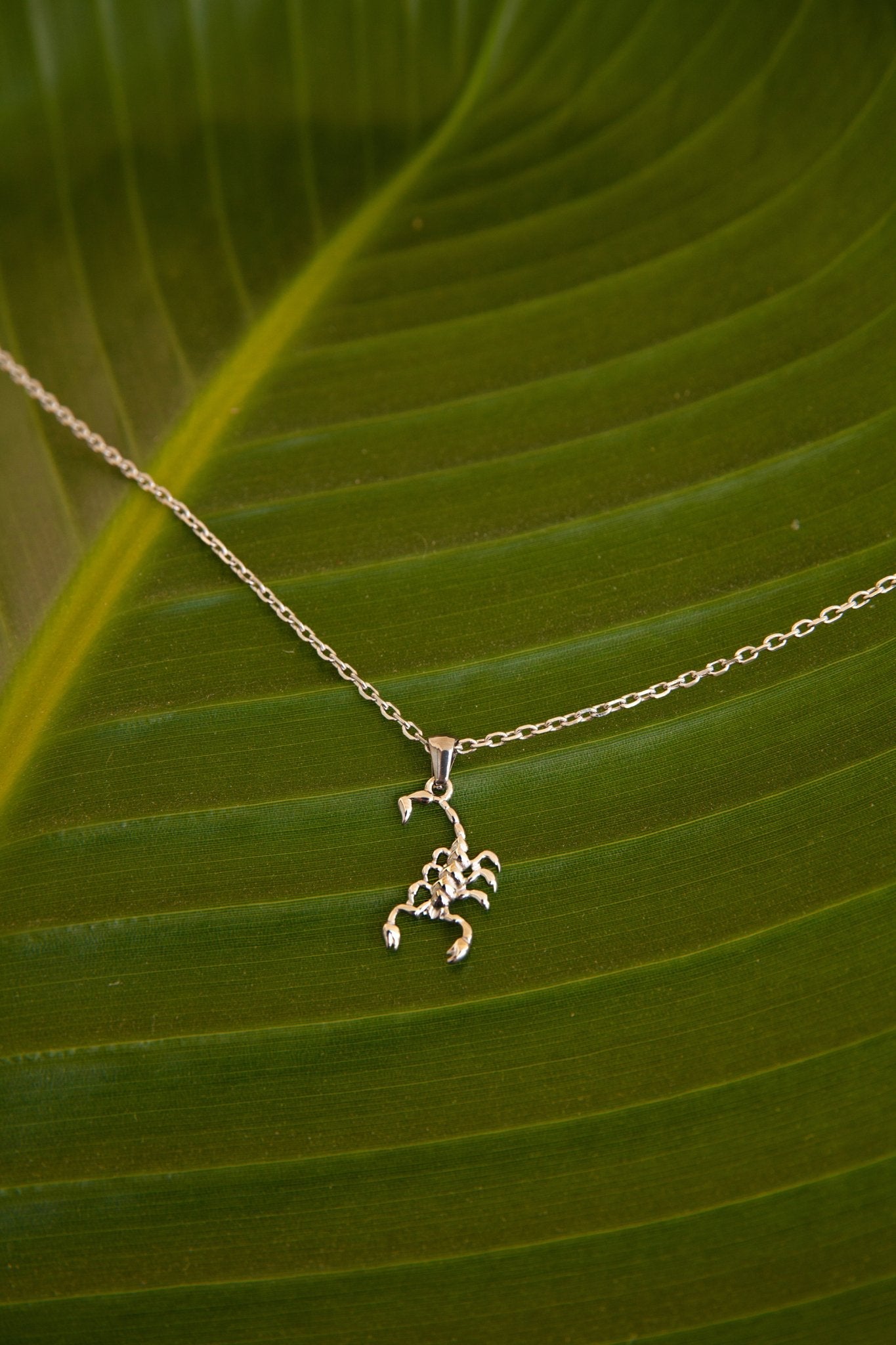 Scorpion Necklace (Unisex) - Flaire & Co.