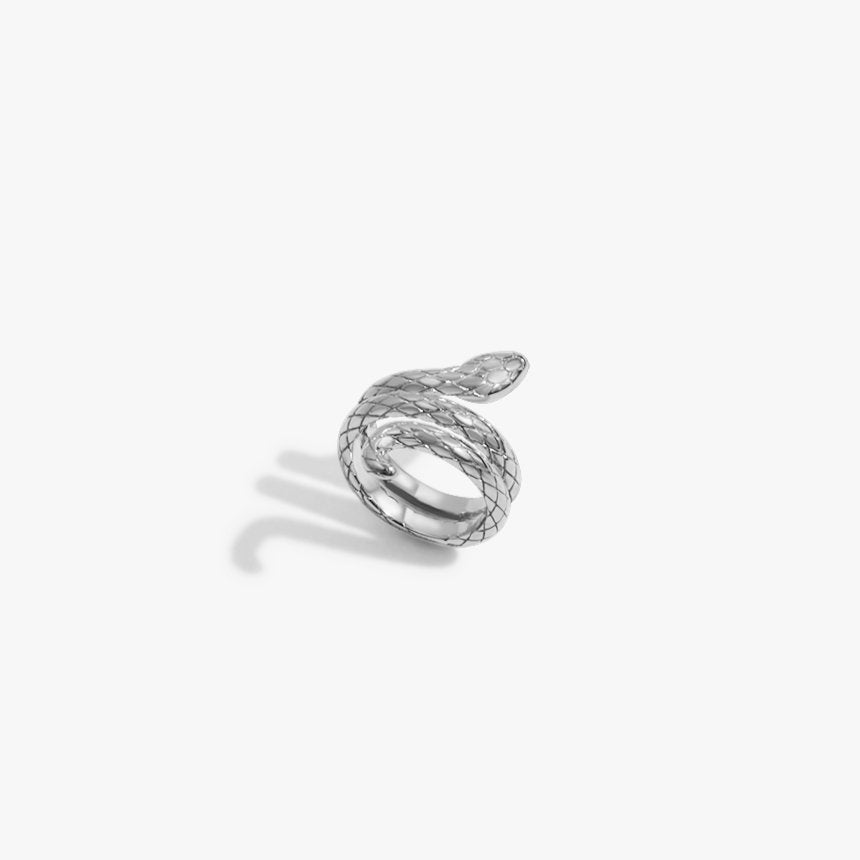 Silver Snake Ring - Flaire & Co.