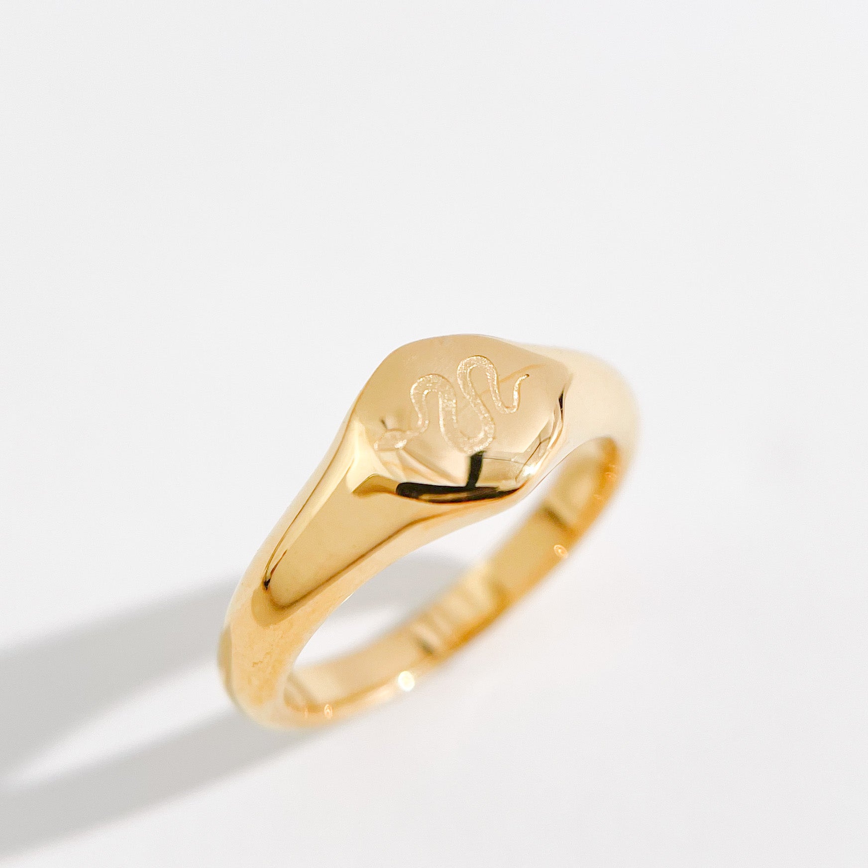 Slitherin Signet Gold Ring - Flaire & Co.