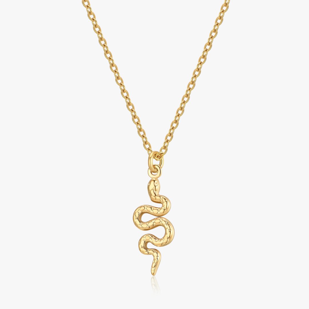 Snake Pendant Necklace in Gold - Flaire & Co.