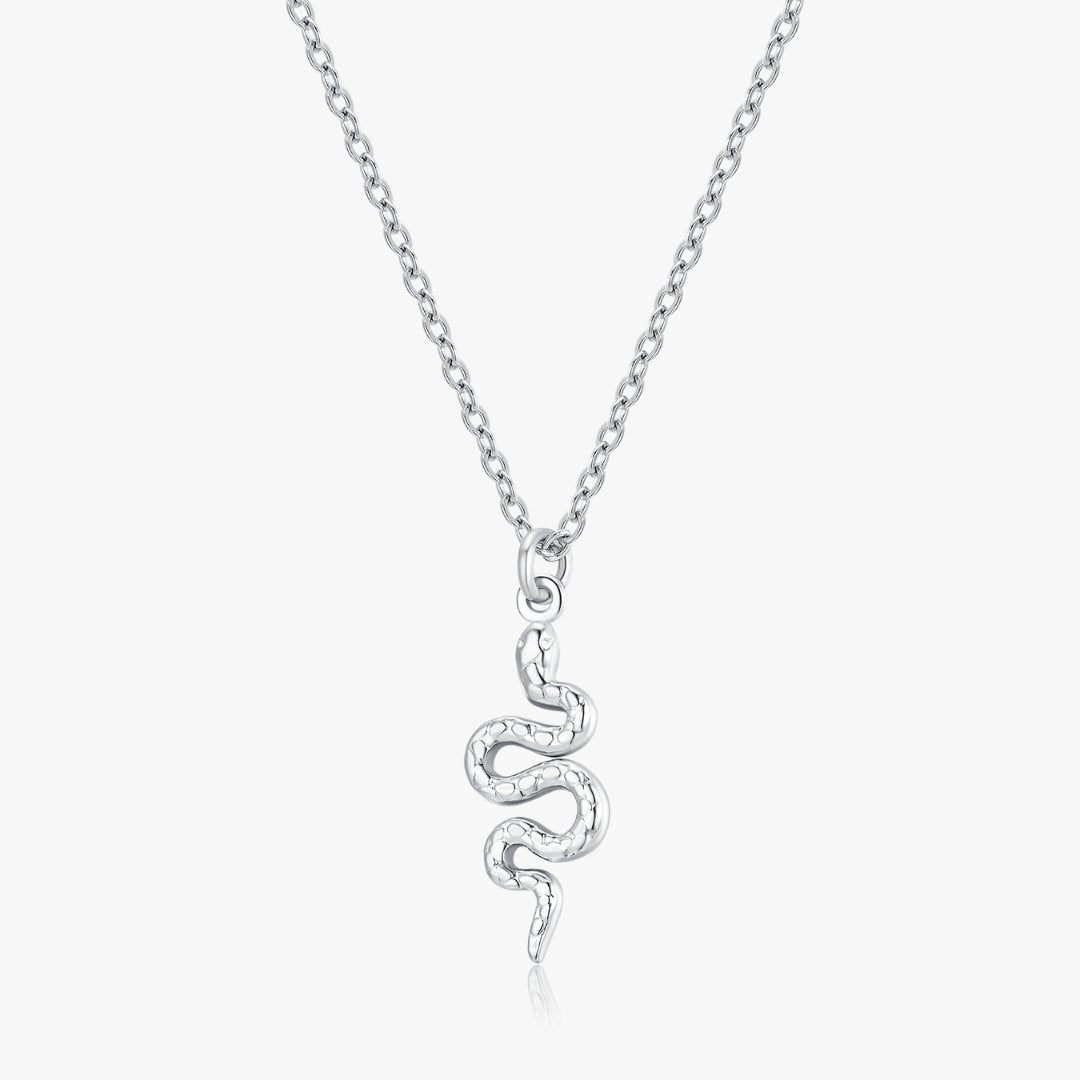 Snake Pendant Necklace - Flaire & Co.