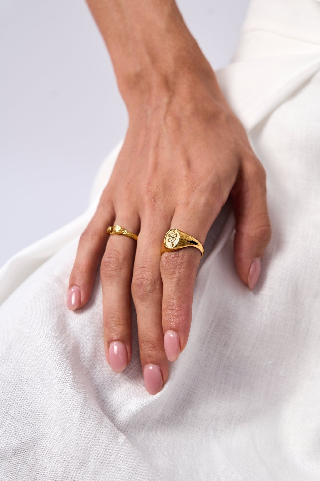 Snake Signet Ring - Flaire & Co.