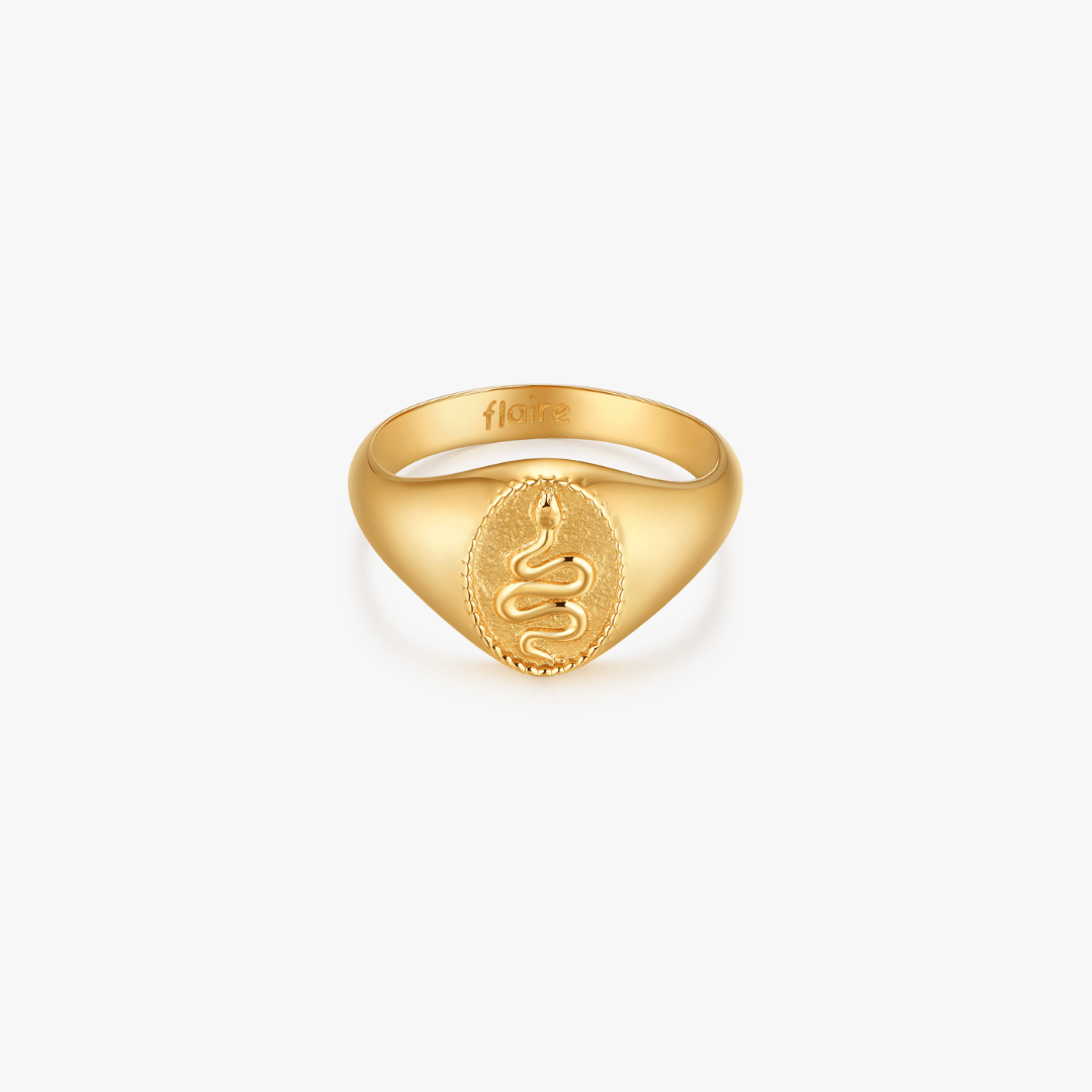 Snake Signet Ring - Flaire & Co.