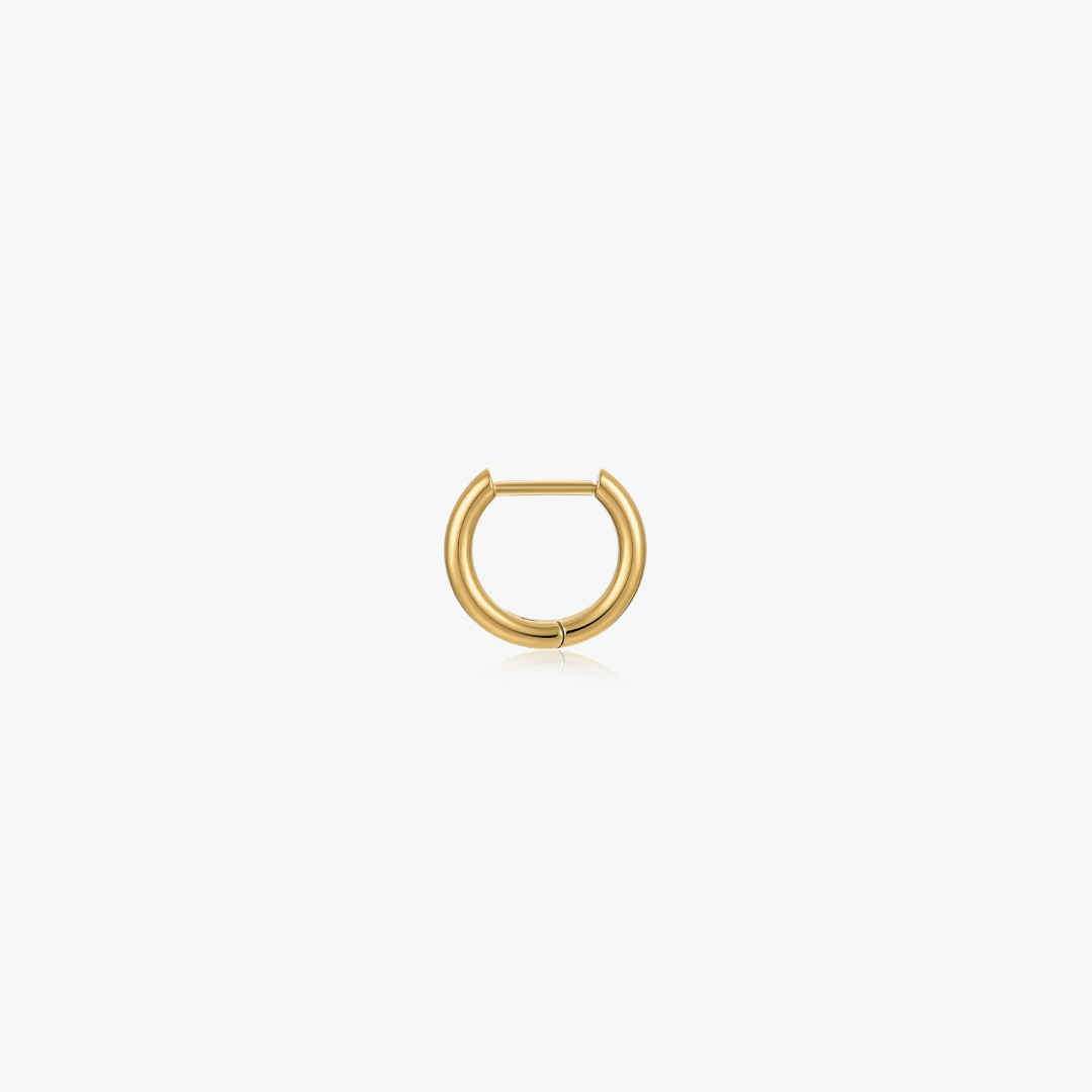 Titanium Mini Seamless Hoops (Single)