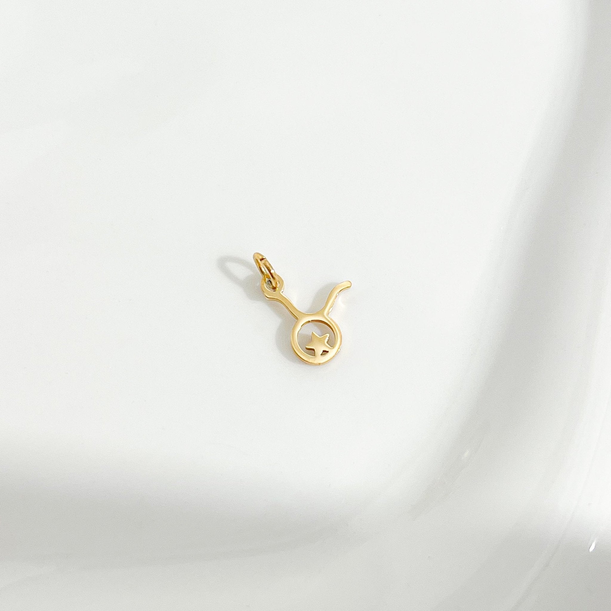 Dainty Zodiac Gold Necklace - Flaire & Co.