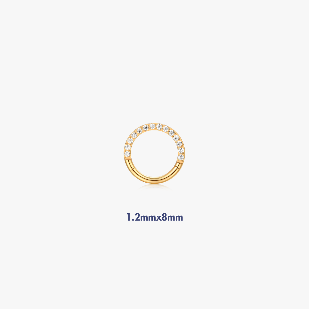 Pave Titanium Hoop (Single) - Flaire & Co.