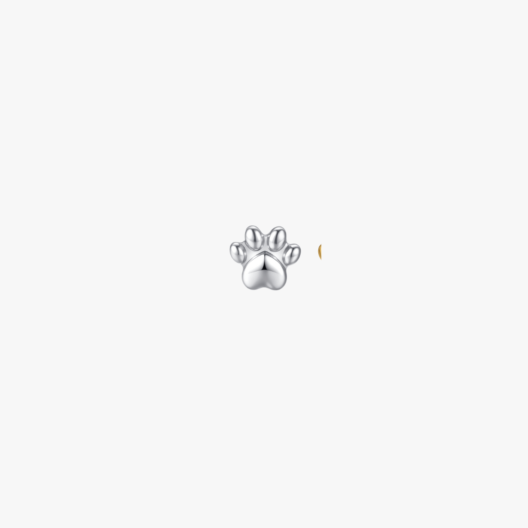 Paw Titanium Flat Back Stud (Single) (Pawsitive Change Collection) - Flaire & Co.