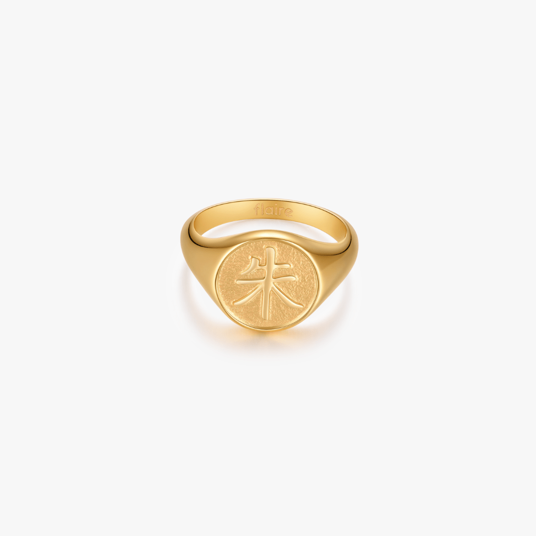 Scarlet Signet Ring (Anime Inspired Collection) - Flaire & Co.