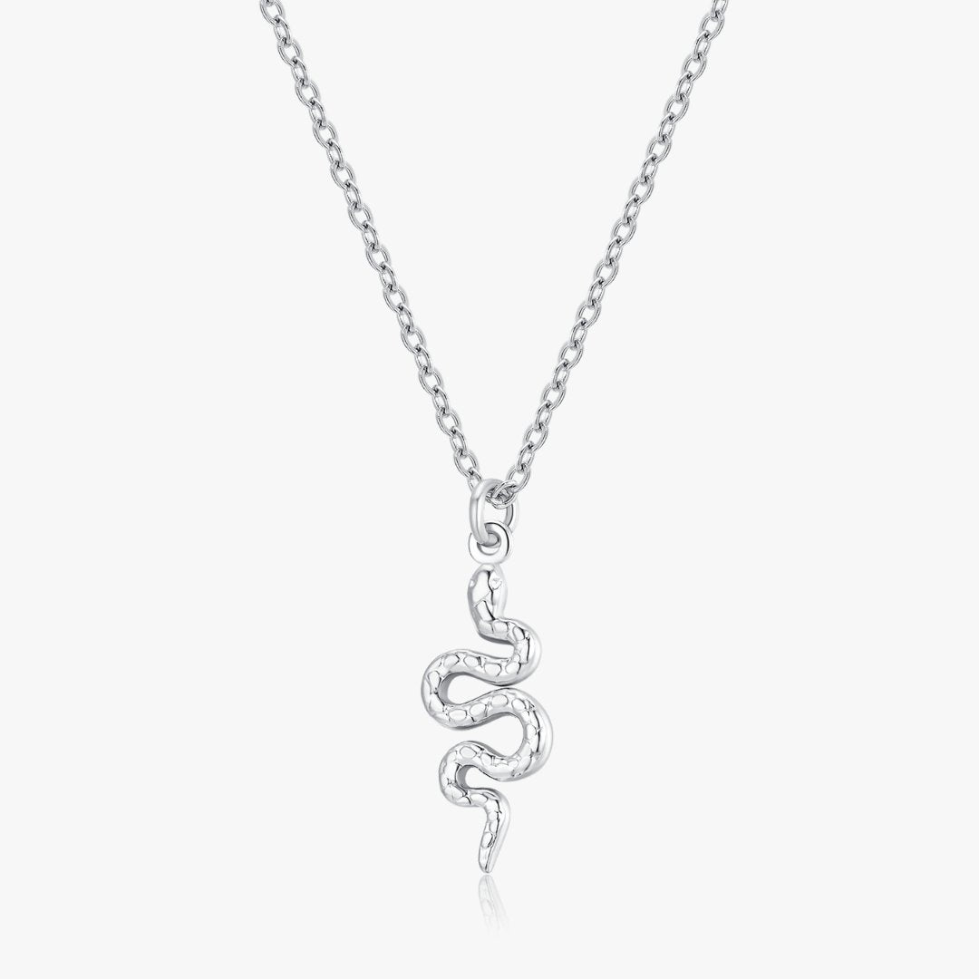 Snake Pendant Necklace in Silver - Flaire & Co.